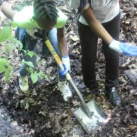 Summer 2018: digging out the Cold Spring at Inwood Forest with Dana Hanchard